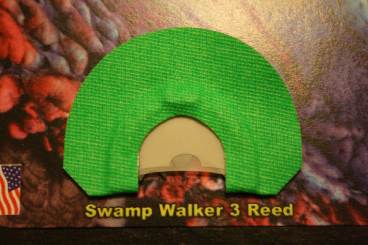 Swamp Walker