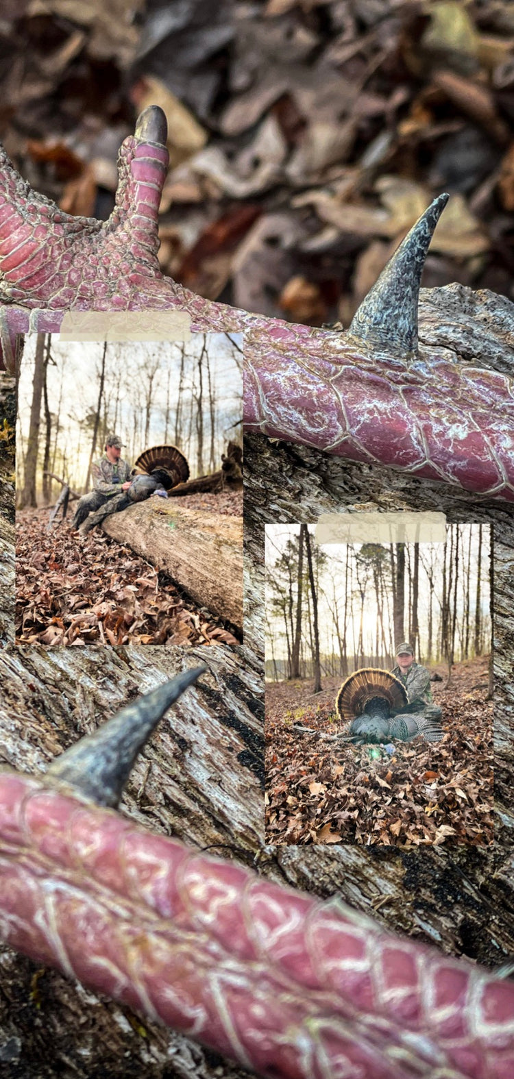 Hot Wing Gunter Game Calls Outdoor Store